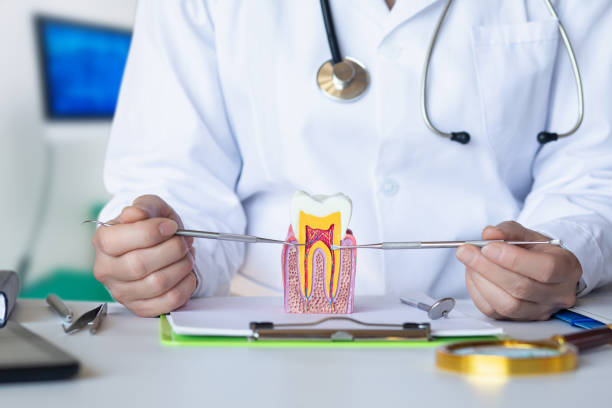 Best Emergency Dental Surgery in The Crossings, FL